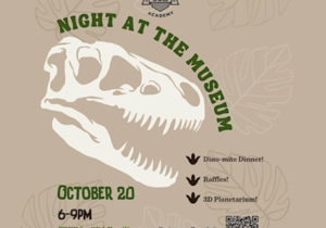 Night at the Museum